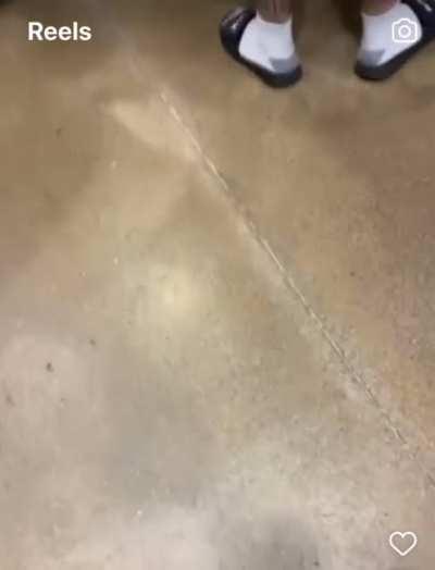 Тату: Нахуй копов