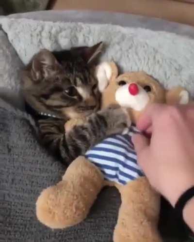 Have a nice dream, little friend.