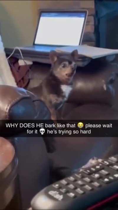 The kid is trying his best🥺