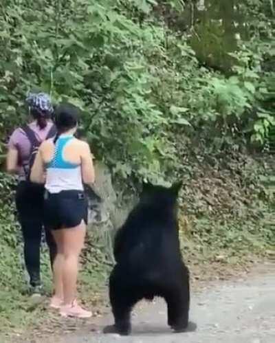 Hey girl, you want some fuk?