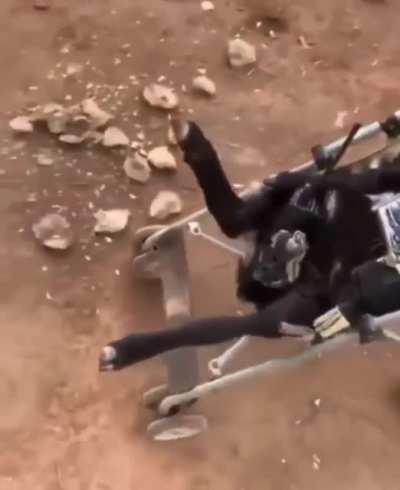 Mexican Drug Lord patrolling his territory