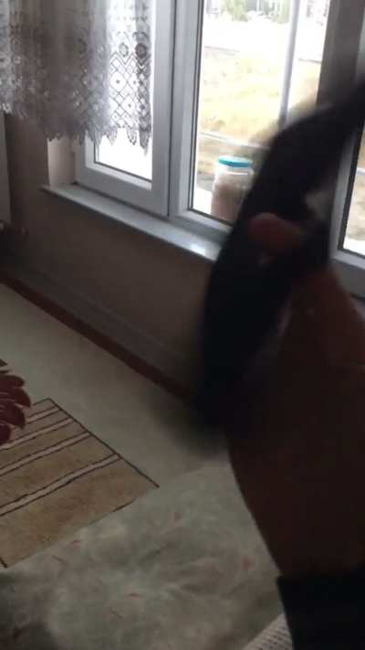 Ultrakill fans after finding a gun: