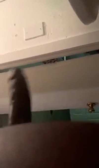 Sometimes I just need a hand 