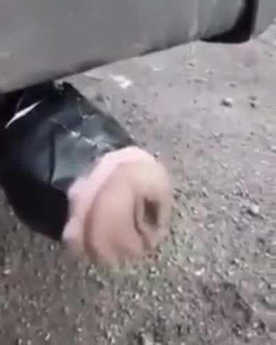 Pocket pussy on exhaust pipe