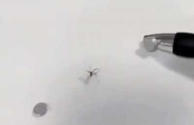 ive actually tried that