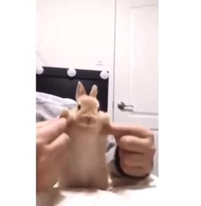 guys why is everyone nakeyd