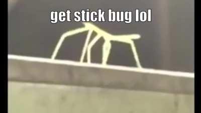 Heaven's Door Requiem