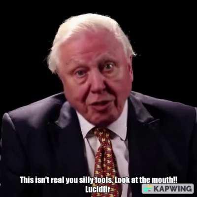 David Attenborough gamestop greentext