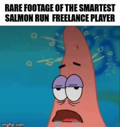 How are you THIS stupid?