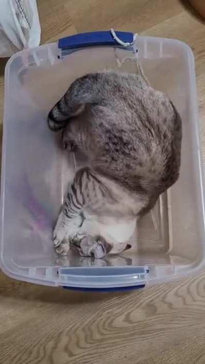 Please tell me if this is normal.