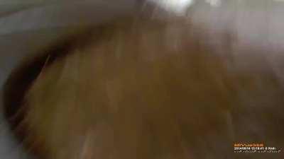 Author (Lada) crashes head-on into a truck, 2014