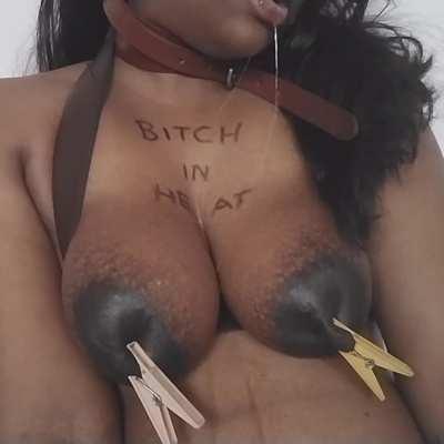 Mouth open, tits out, nipples clamped, marked, leashed, waiting to serve. Am I good bitch? 