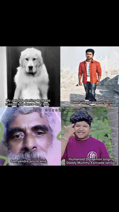 Mods ki problem kya hai bhenchod