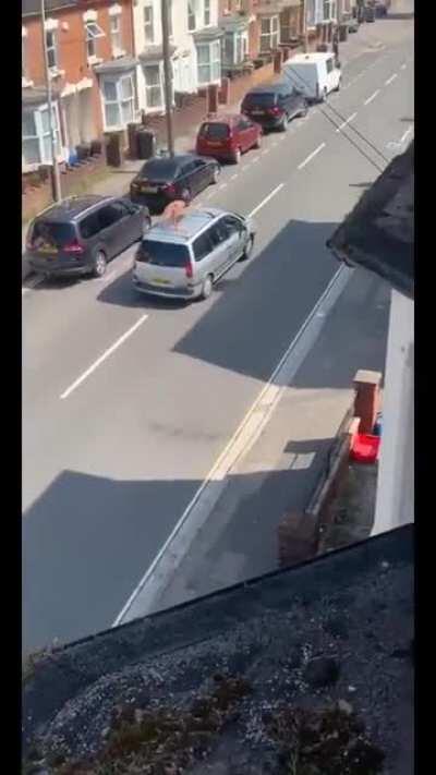 This bizarre altercation with a naked man and a little person cameo