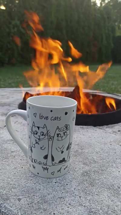 A cute mug that I bought in Eger, Hungary ☕😻