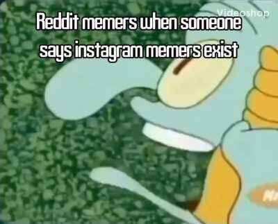 INSTAGRAM MEMERS EXIST!