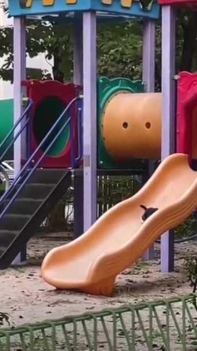 Since all the kids are finally gone, imma just play for a while…