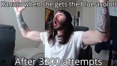 Hololive members be like