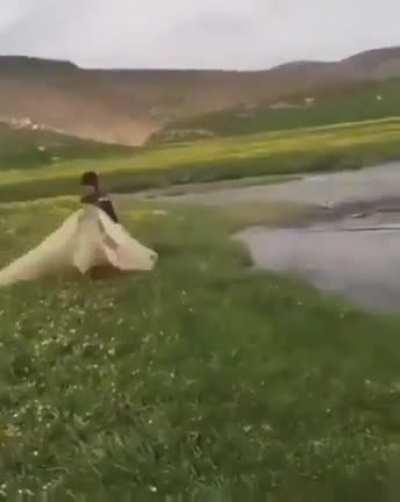 Learning to fish in the river...