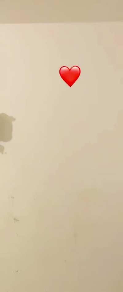 (W)as ist härter? Der Boden, mein Kopf oder dein Schwanz? (Ton an)