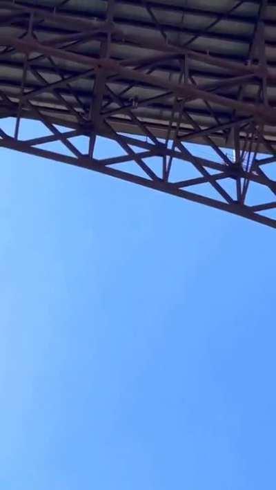 Gigantic dog, the devour of humans