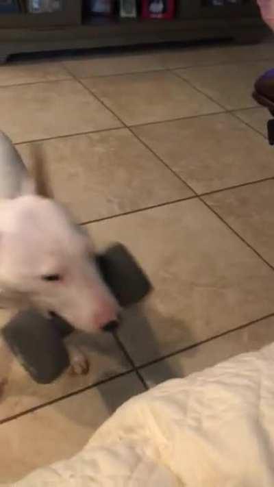 Vivian that’s a 10lb weight…