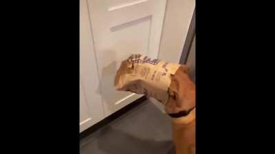 Breathing in a paper bag