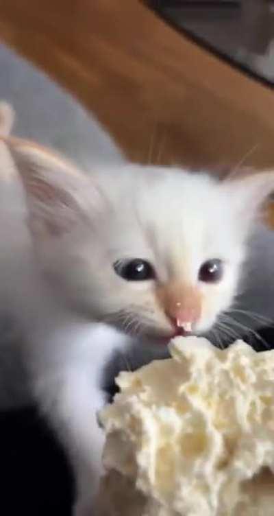 Commissary day for the convicts!