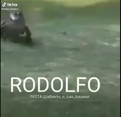 Rodolfo...