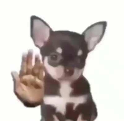 I’m 15 and this is yeet