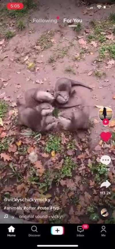 not my video, but it was too cute not to share 🥲