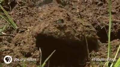 I thought I could do a little editing on this clip