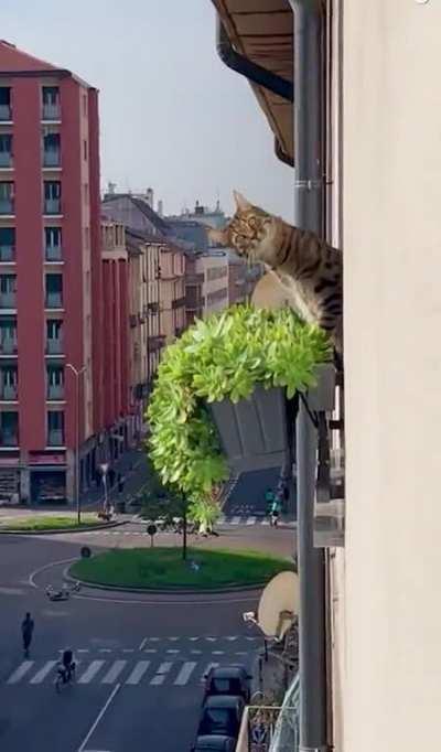 You’ve traveled the globe, but yet, your assassin found you.