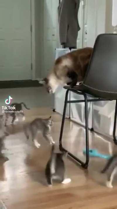 She wants to kiss us.... no way!!!