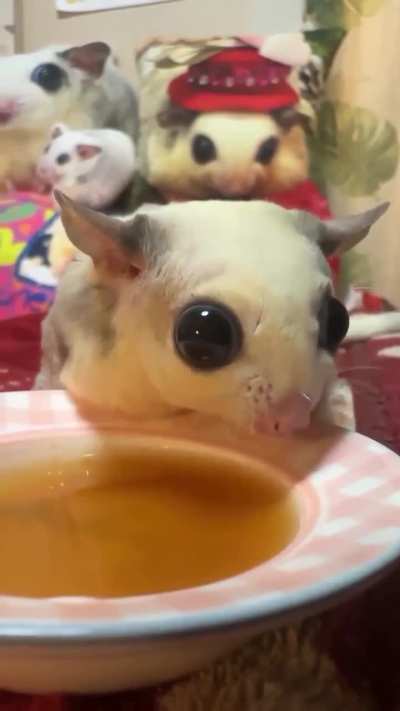 God is shitposting at this point