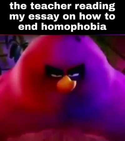Essay