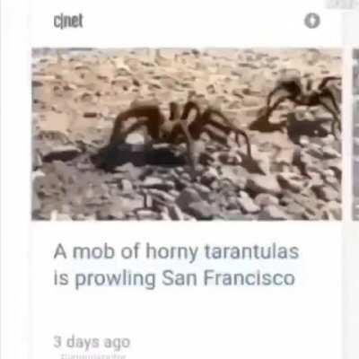 The horny enemy spider