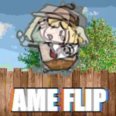 AME FLIP