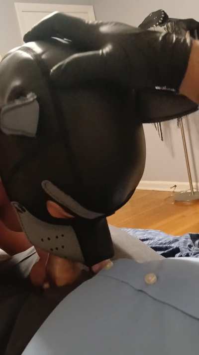 Pup really tries to swallow that knot!!