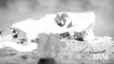 I wanted to share this mashup I made with ravedj. It’s a mashup of Isle Unto Thyself and Good Day by Jukebox the Ghost