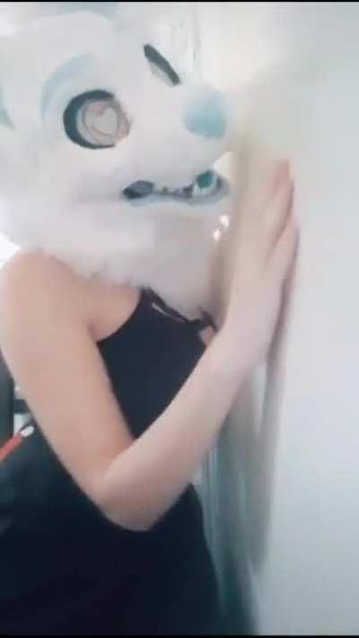 1 Upvote = 1 Furro esclavizado