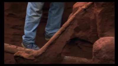 Over the course of 3 days scientists pumped 10 tons of cement into an abandoned ant hill. After weeks of digging, the colony’s intricate & impressive structure is revealed. [From: Ants! Natures Secret Power]