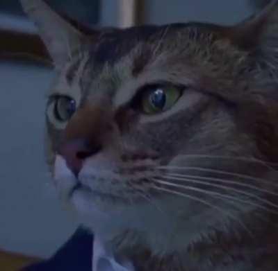 I took all the Benadryl the fuck is going on