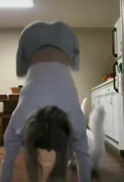 Cat is tired if Tic Toc too!!