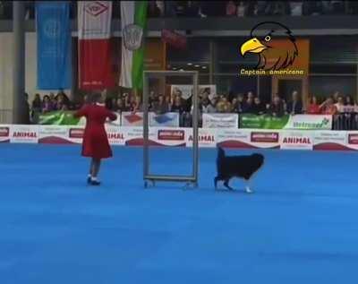 Incredible performance