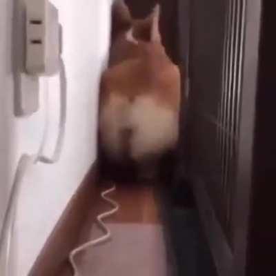 Reverse gear Engaged