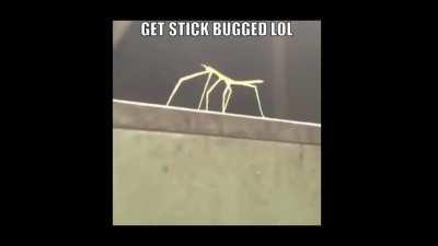 Impostor (ft. Brian)