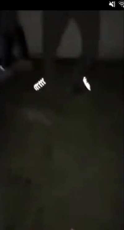 To whoever put shit thru me lads letterbox. Yer a nonce. End of.