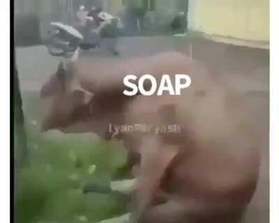 A short story of THE MATCH 2021