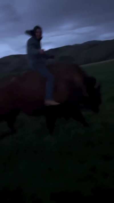 Riding a buffalo